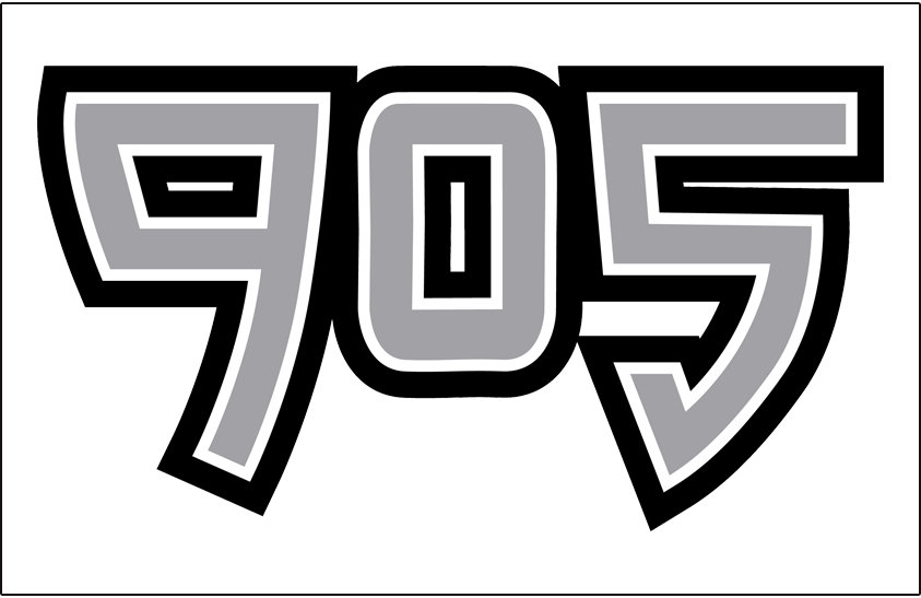 Raptors 905 2015-Pres Jersey Logo iron on heat transfer